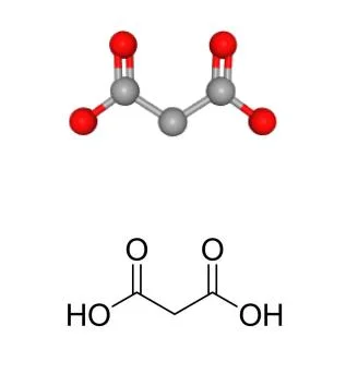 High Purity 1, 3-Propanedioic Acid CAS 141-82-2 Used in Fine Chemicals